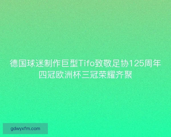 德国球迷制作巨型Tifo致敬足协125周年四冠欧洲杯三冠荣耀齐聚