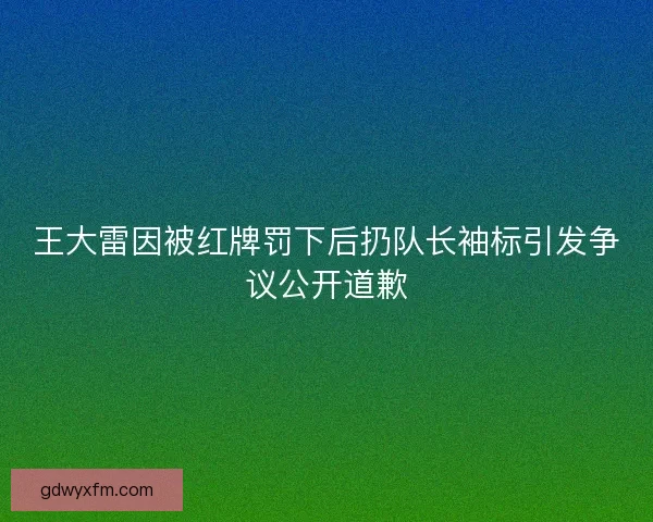 王大雷因被红牌罚下后扔队长袖标引发争议公开道歉